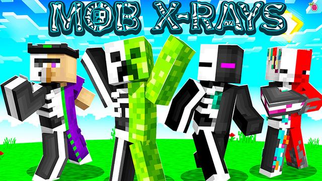 Thumbnail of the Minecraft Bedrock Marketplace product Mob X-Rays created by Razzleberries.