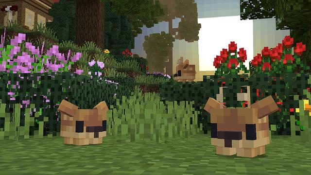 Screenshot of the Minecraft Bedrock Marketplace product Pixel Pets Meadow created by Razzleberries.