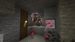 Screenshot of the Minecraft Bedrock Marketplace product Ruby Tools created by Razzleberries.