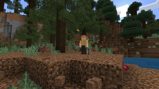 Screenshot of the Minecraft Bedrock Marketplace product Ruby Tools created by Razzleberries.