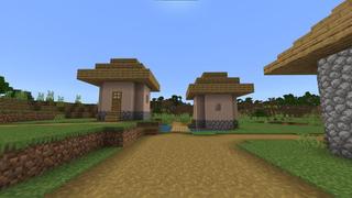 Screenshot of the Minecraft Bedrock Marketplace product Secret 200 IQ Base created by Razzleberries.