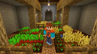 Screenshot of the Minecraft Bedrock Marketplace product Secret Bookshelf Base created by Razzleberries.