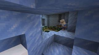 Screenshot of the Minecraft Bedrock Marketplace product Stranded Arctic created by Razzleberries.