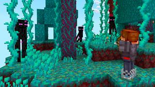 Screenshot of the Minecraft Bedrock Marketplace product Tallest Tower Survival created by Razzleberries.