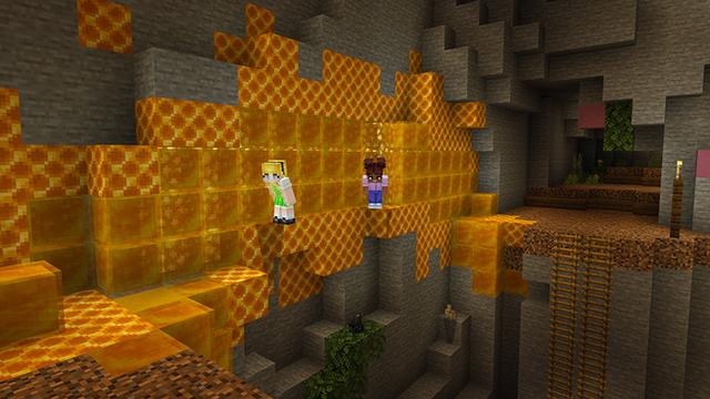 Screenshot of the Minecraft Bedrock Marketplace product Way of the Bee created by Razzleberries.