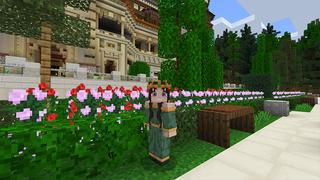 Screenshot of the Minecraft Bedrock Marketplace product Whimsy Citadel created by Razzleberries.