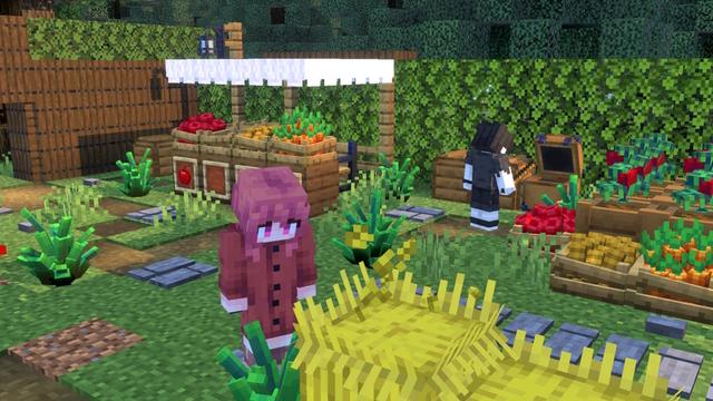 Screenshot of the Minecraft Bedrock Marketplace product Furniture created by Red Eagle Studios.