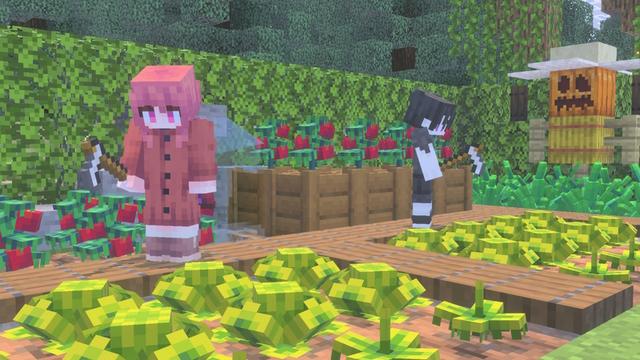 Screenshot of the Minecraft Bedrock Marketplace product Furniture created by Red Eagle Studios.