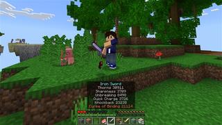 Screenshot of the Minecraft Bedrock Marketplace product Hacker One Block created by Red Eagle Studios.