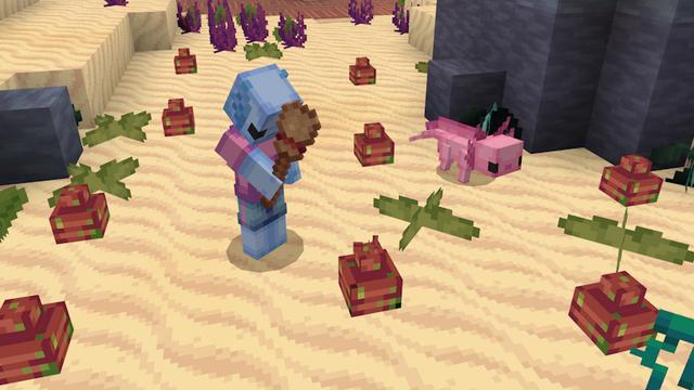 Screenshot of the Minecraft Bedrock Marketplace product Axolotl Pets created by SandBlock Studios.