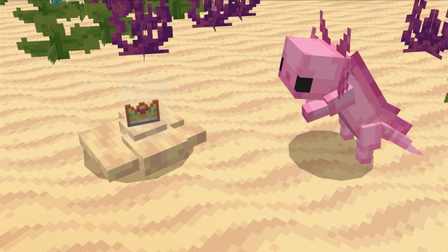 Screenshot of the Minecraft Bedrock Marketplace product Axolotl Pets created by SandBlock Studios.