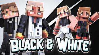 Thumbnail of the Minecraft Bedrock Marketplace product Black & White created by Sapix.