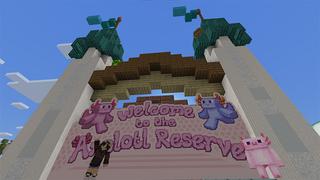 Screenshot of the Minecraft Bedrock Marketplace product Axolotl++ created by Sapphire Studios.