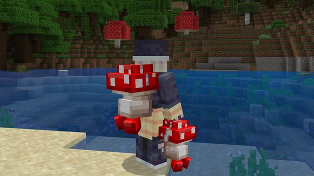 Screenshot of the Minecraft Bedrock Marketplace product Backpacks created by Scai Quest.