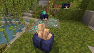 Screenshot of the Minecraft Bedrock Marketplace product Ore Beetles Add-On created by Scai Quest.