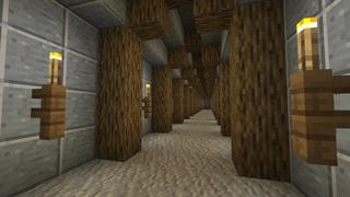 Screenshot of the Minecraft Bedrock Marketplace product Four Rings created by Shaliquinn's Schematics.