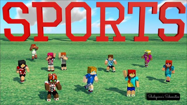 Thumbnail of the Minecraft Bedrock Marketplace product Sports Skin Pack created by Shaliquinn's Schematics.
