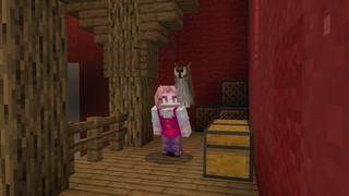 Screenshot of the Minecraft Bedrock Marketplace product Animal Rescue Center created by Shapescape.