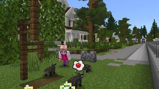 Screenshot of the Minecraft Bedrock Marketplace product Animal Rescue Center created by Shapescape.