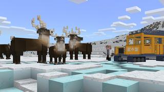 Screenshot of the Minecraft Bedrock Marketplace product Arctic Adventure created by Shapescape.