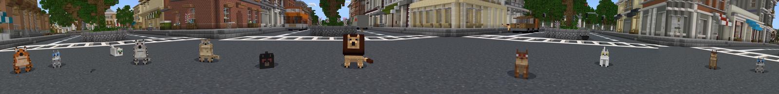Panorama of the Minecraft Bedrock Marketplace product Cats created by Shapescape.