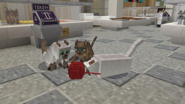 Screenshot of the Minecraft Bedrock Marketplace product Cats created by Shapescape.