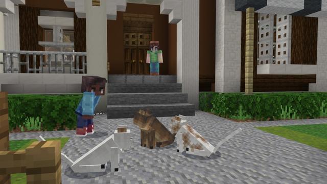 Screenshot of the Minecraft Bedrock Marketplace product Cats created by Shapescape.