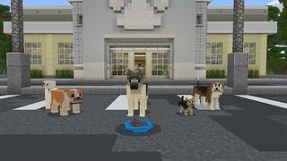 Screenshot of the Minecraft Bedrock Marketplace product Dogs created by Shapescape.