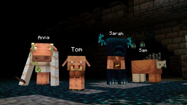 Screenshot of the Minecraft Bedrock Marketplace product MIX + MORPH created by Shapescape.