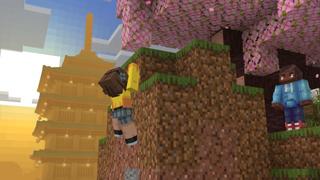 Screenshot of the Minecraft Bedrock Marketplace product Ninja Moves created by Shapescape.