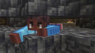 Screenshot of the Minecraft Bedrock Marketplace product Ninja Moves created by Shapescape.