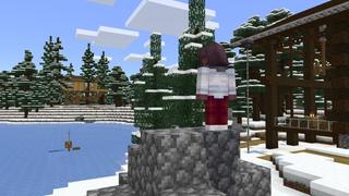 Screenshot of the Minecraft Bedrock Marketplace product Peaceful created by Shapescape.