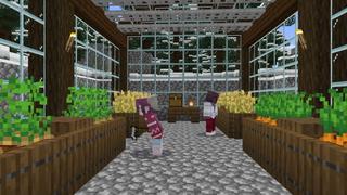 Screenshot of the Minecraft Bedrock Marketplace product Peaceful created by Shapescape.