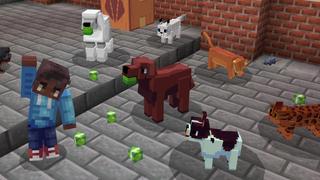 Screenshot of the Minecraft Bedrock Marketplace product Pets Villa created by Shapescape.
