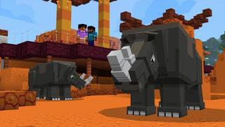 Screenshot of the Minecraft Bedrock Marketplace product ZOO created by Shapescape.