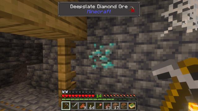 Screenshot of the Minecraft Bedrock Marketplace product What Is That? Add-On created by Simply Brilliant.