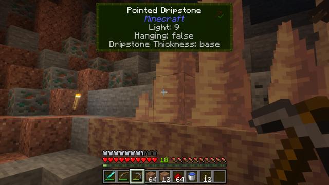 Screenshot of the Minecraft Bedrock Marketplace product What Is That? Add-On created by Simply Brilliant.