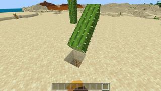 Screenshot of the Minecraft Bedrock Marketplace product Secret Cactus Base created by Snail Studios.
