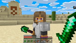 Screenshot of the Minecraft Bedrock Marketplace product Emerald Tools created by SNDBX.