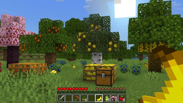 Screenshot of the Minecraft Bedrock Marketplace product Overhauled: Farming & Food created by Solid Blocks.