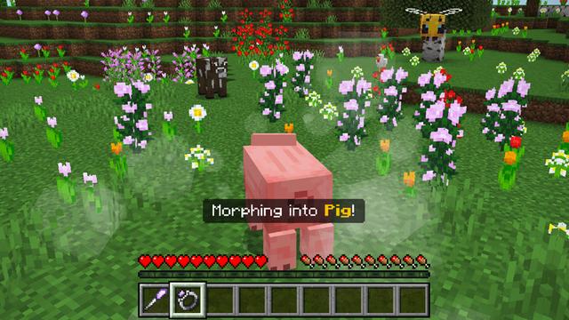 Screenshot of the Minecraft Bedrock Marketplace product Morph Into Anything Add-On created by Square Dreams.