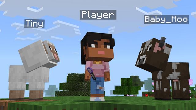 Screenshot of the Minecraft Bedrock Marketplace product Morph Into Anything Add-On created by Square Dreams.