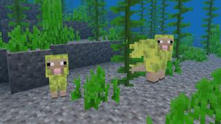 Screenshot of the Minecraft Bedrock Marketplace product Mob Menagerie Add-On created by StacyPlays.