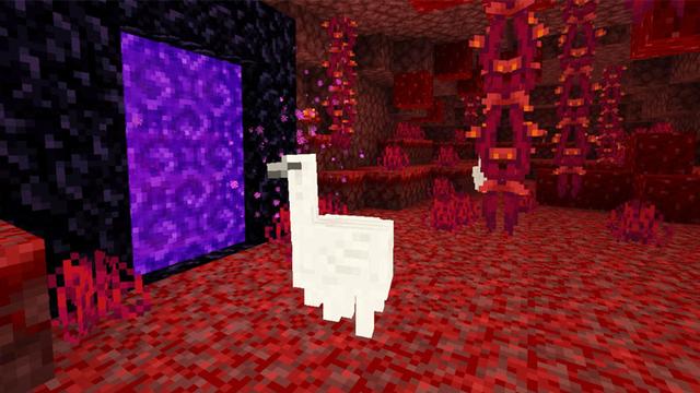 Screenshot of the Minecraft Bedrock Marketplace product Mob Menagerie Add-On created by StacyPlays.