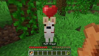 Screenshot of the Minecraft Bedrock Marketplace product Rescue Dogs - MUTTS! Add-On created by StacyPlays.