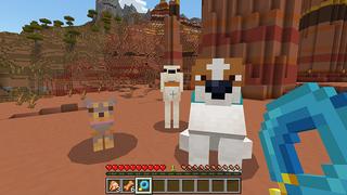Screenshot of the Minecraft Bedrock Marketplace product Rescue Dogs - MUTTS! Add-On created by StacyPlays.