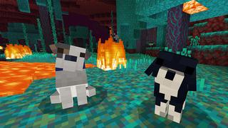 Screenshot of the Minecraft Bedrock Marketplace product Rescue Dogs - MUTTS! Add-On created by StacyPlays.