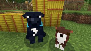 Screenshot of the Minecraft Bedrock Marketplace product Rescue Dogs - MUTTS! Add-On created by StacyPlays.