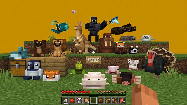 Naturalist Add On By Starfish Studios CHUNK Minecraft Bedrock 
