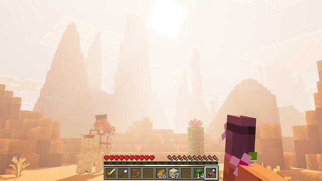 Screenshot of the Minecraft Bedrock Marketplace product Prizma Visuals created by Starfish Studios.